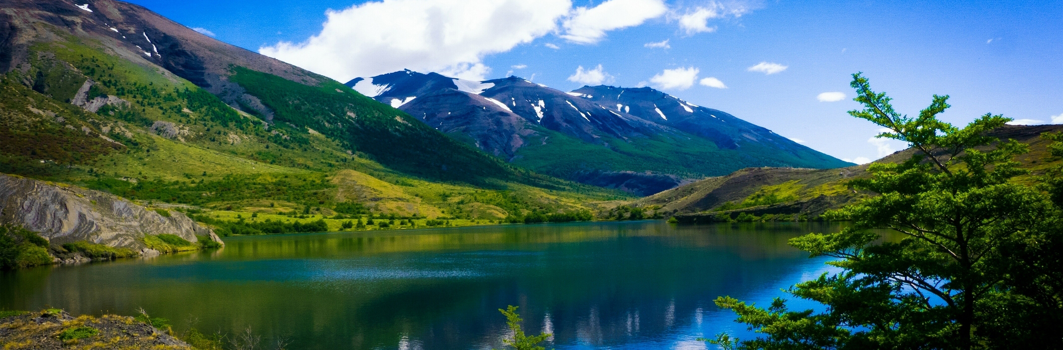 Terminos del Servicio